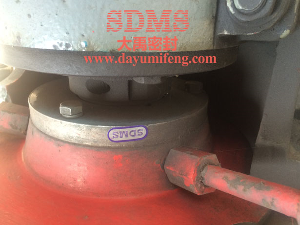 大禹密封150DT-A40機(jī)械密封使用現(xiàn)場(chǎng)